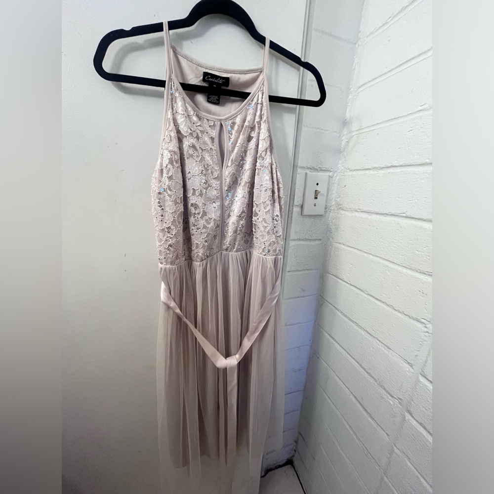 Blush Lace and Tulle Dress